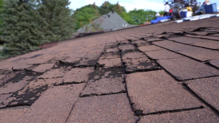 Best Asphalt Shingles Roofing  in Dermott, AR